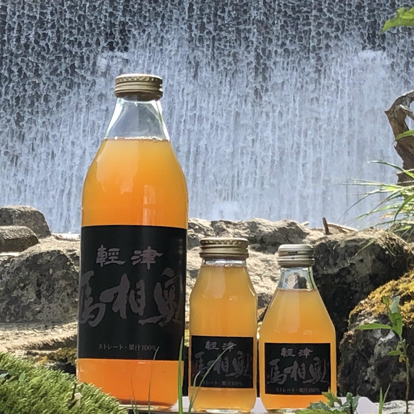 サンふじりんごジュース12本🤩【無添加】ごっくん生搾り🥂🍎180ml×12本